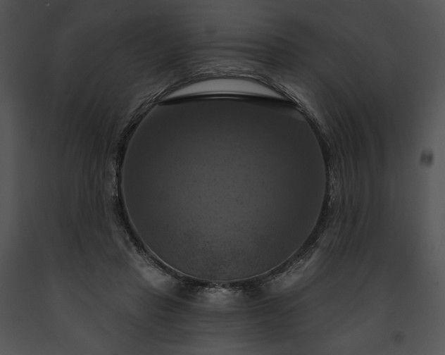 X0000091640453200708301402