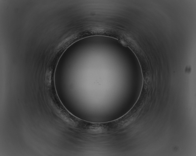 X0000091640454200708301402
