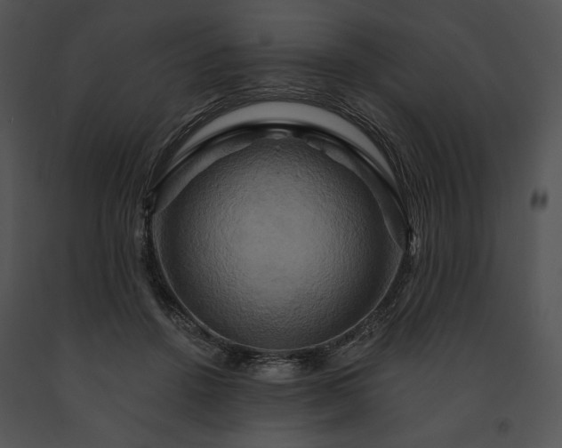 X0000091640456200708301402