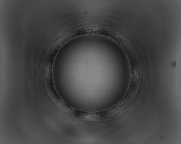 X0000091640468200708301402