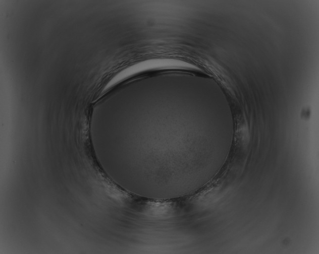 X0000091640469200708301402