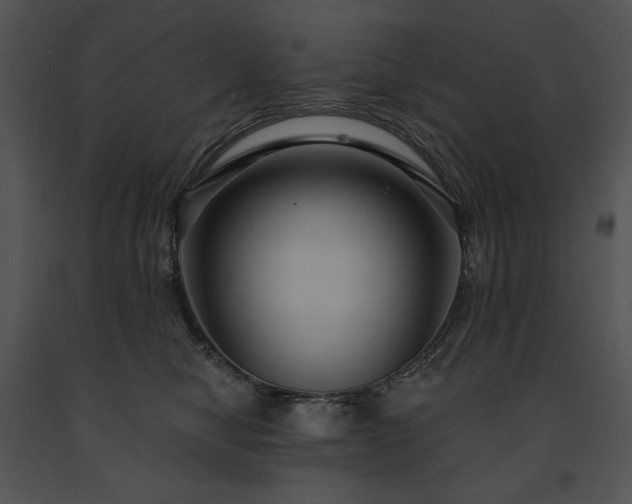 X0000091640470200708301402