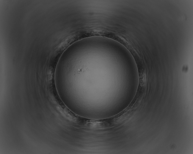 X0000091640472200708301402