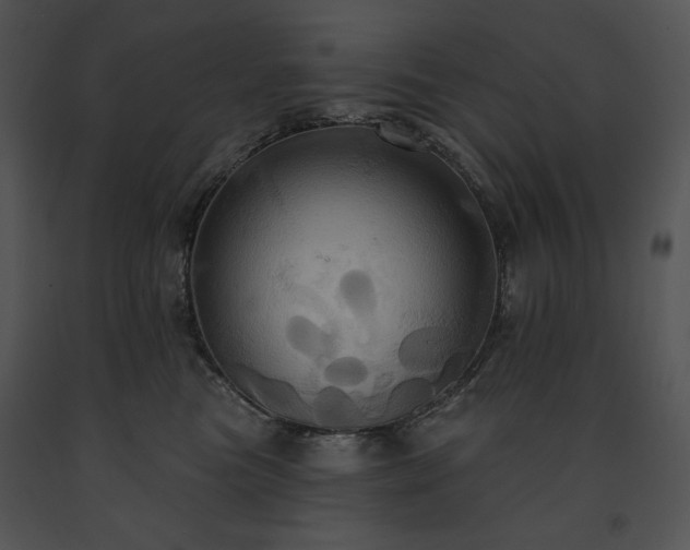 X0000091640473200708301402