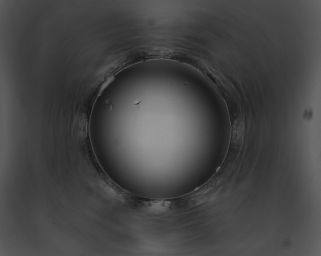 X0000091640474200708301402