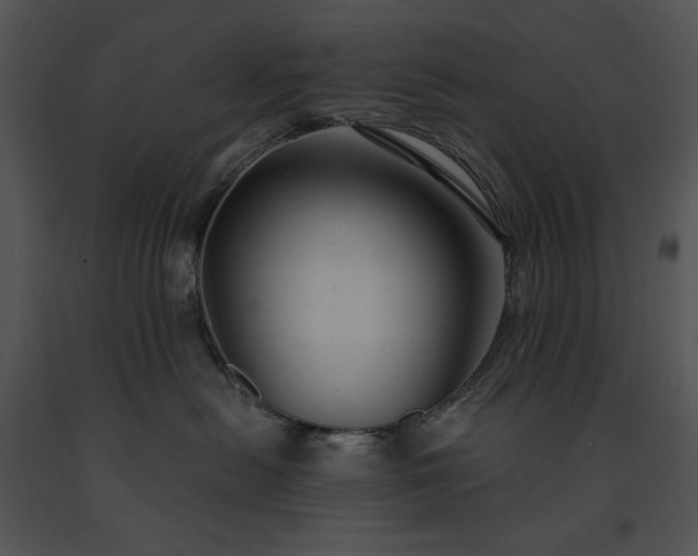 X0000091640478200708301402