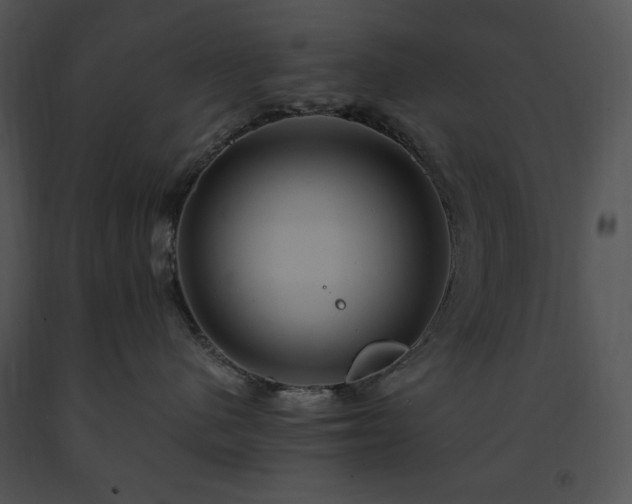 X0000091640480200708301402