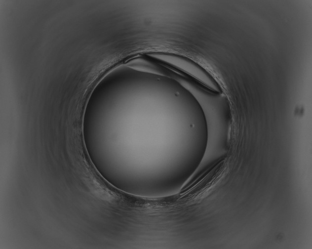 X0000091640481200708301402