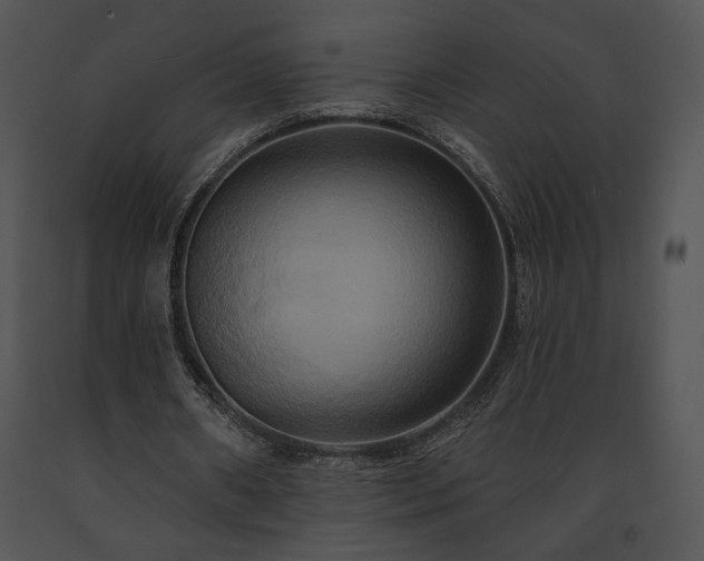 X0000091640482200708301402