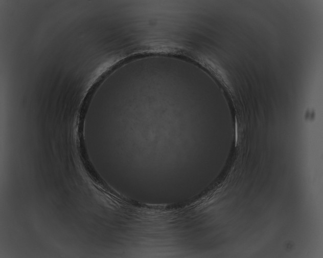 X0000091640483200708301402