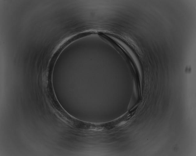 X0000091640484200708301402