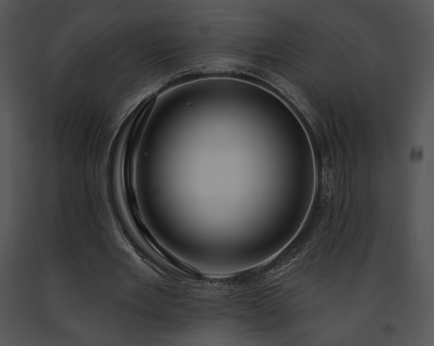 X0000091640485200708301402