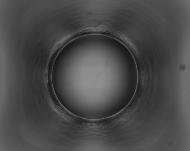 X0000091640486200708301402