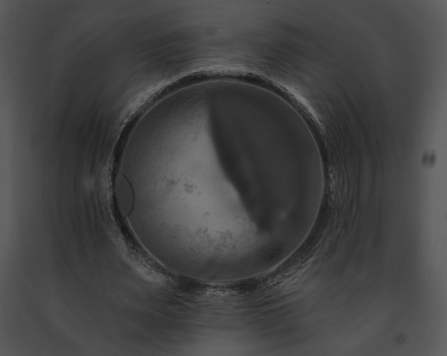 X0000091640487200708301402