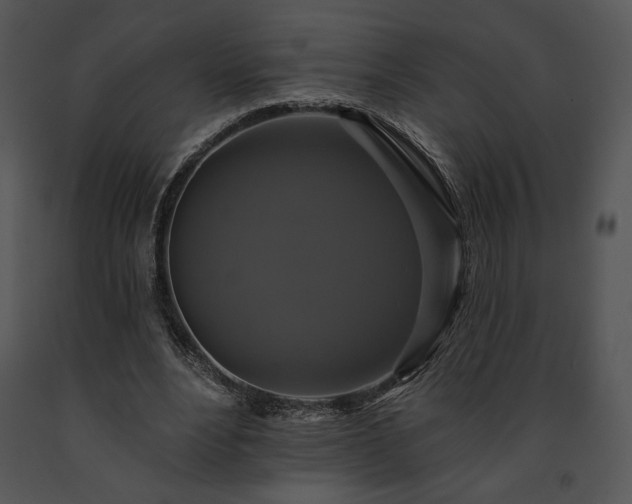 X0000091640488200708301402