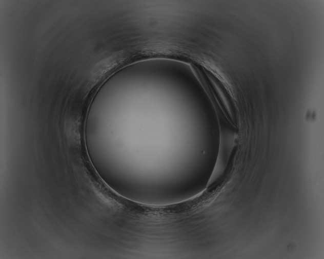 X0000091640489200708301402