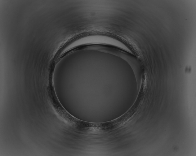 X0000091640496200708301402