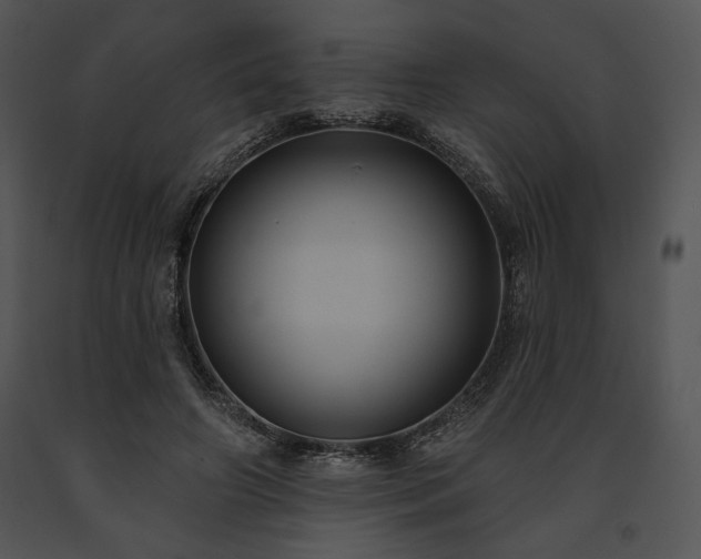 X0000091640498200708301401