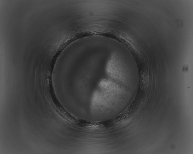 X0000091640499200708301401