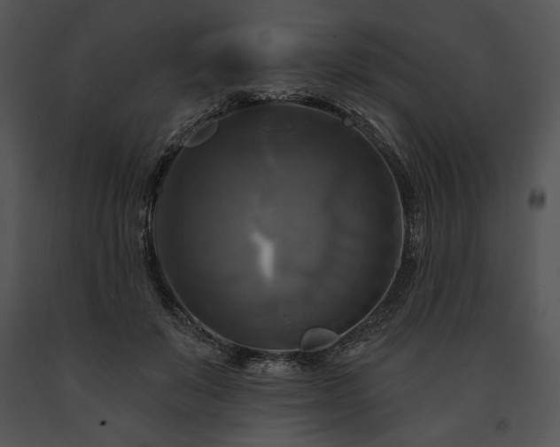 X0000091640503200708301401