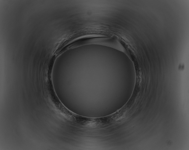 X0000091640504200708301401