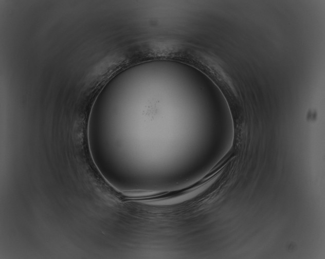X0000091640505200708301401