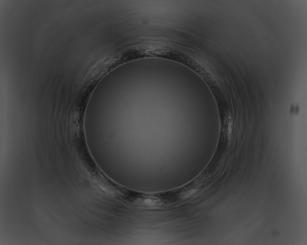 X0000091640506200708301401