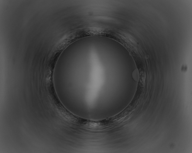 X0000091640507200708301401