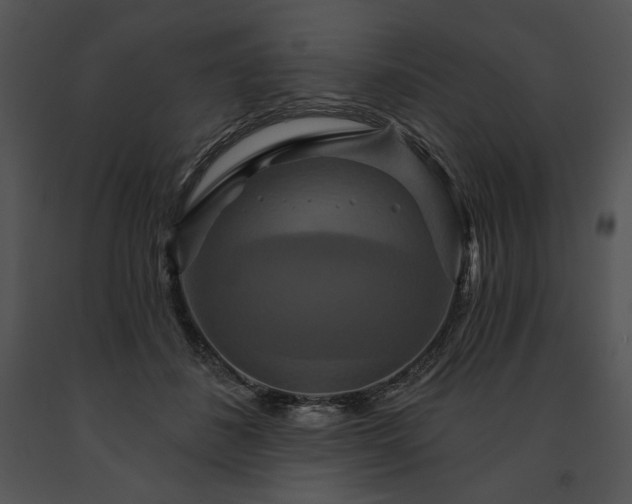 X0000091640508200708301401