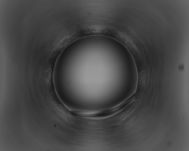 X0000091640509200708301401