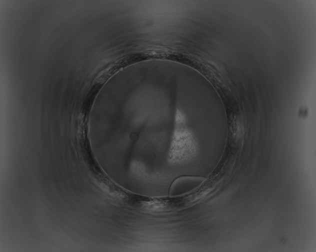 X0000091640511200708301401