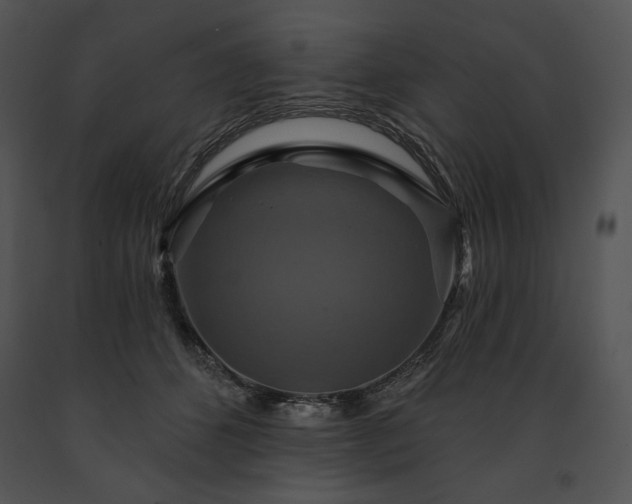 X0000091640512200708301401