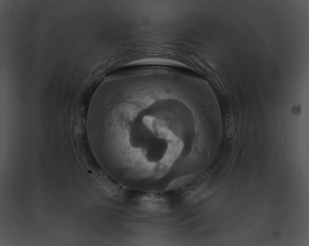 X0000091640515200708301401