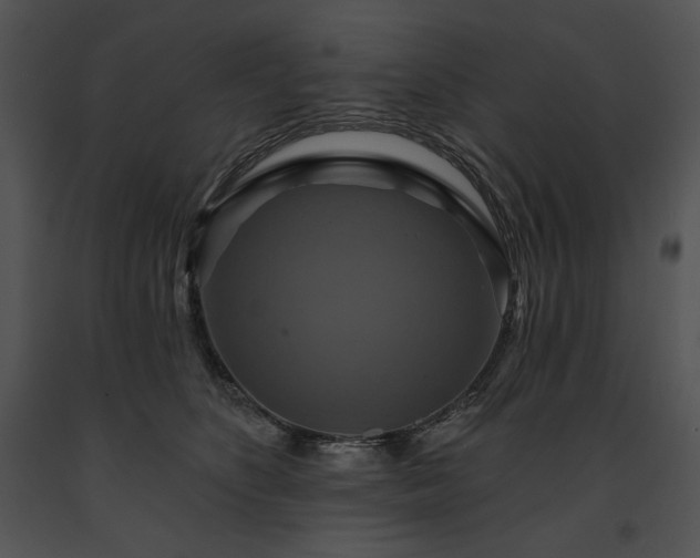 X0000091640516200708301401