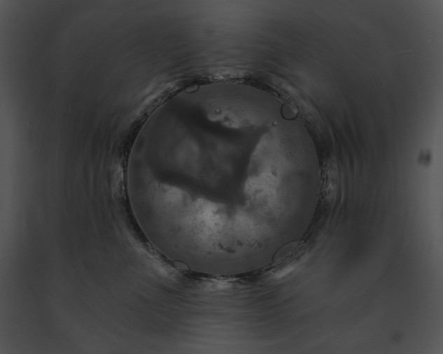 X0000091640523200708301401