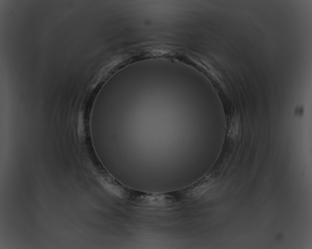 X0000091640524200708301401