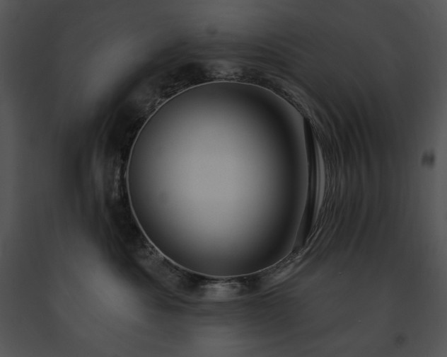 X0000091640525200708301401