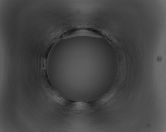 X0000091640528200708301401
