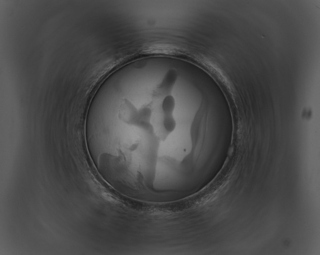 X0000091640529200708301400