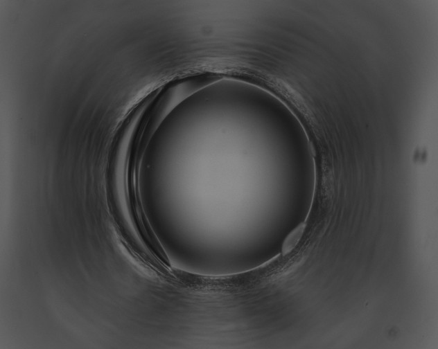X0000091640530200708301400