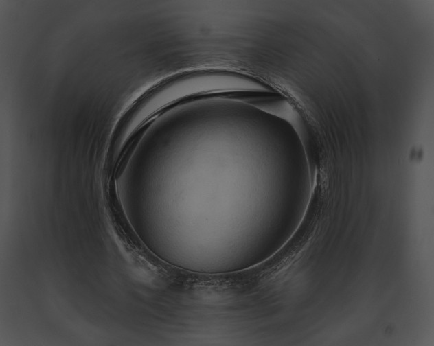 X0000091640532200708301400