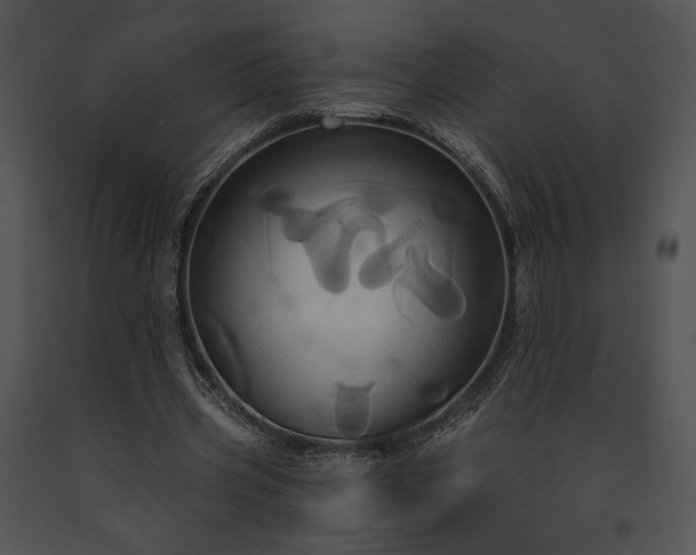X0000091640533200708301400