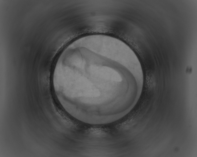 X0000091640534200708301400