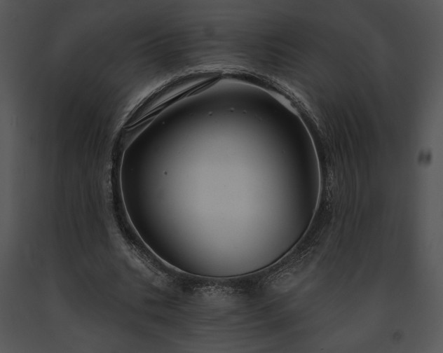 X0000091640535200708301400