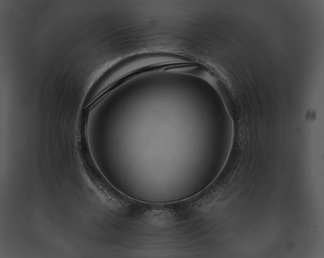 X0000091640536200708301400