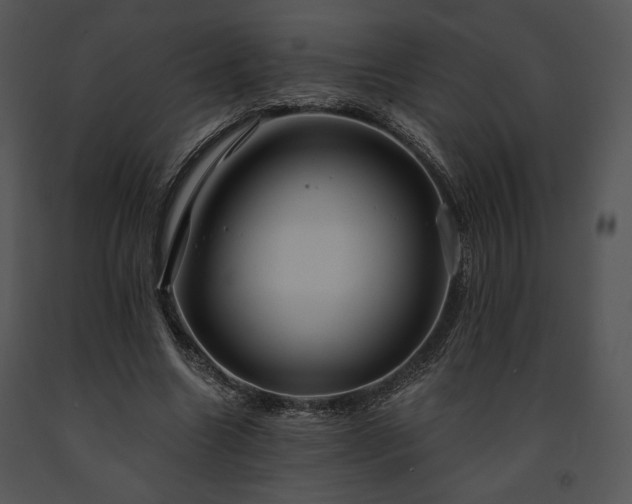 X0000091640538200708301400