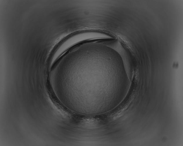 X0000091640540200708301400
