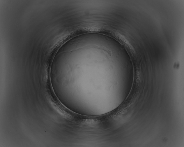 X0000091640541200708301400