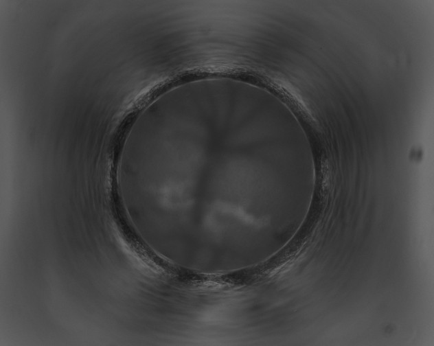 X0000091640542200708301401