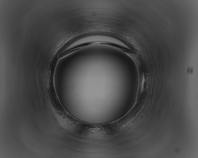 X0000091640544200708301401